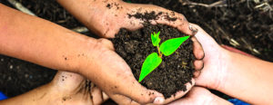Salvaguardare la terra per un futuro migliore