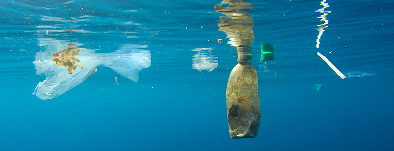 l'inquinamento marino dovuto alla plastica