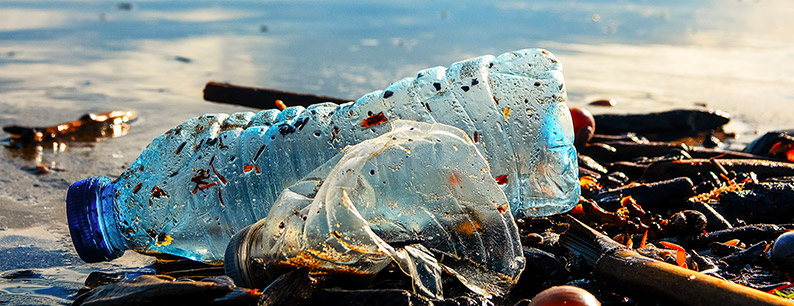 L'inquinamento del mare dovuto alla plastica