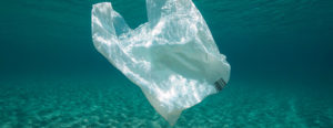Il Mar Mediterraneo è un mare molto inquinato, bisogna invertire la rotta per salvare questo ecosistema