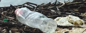 Il problema dell'inquinamento da plastica
