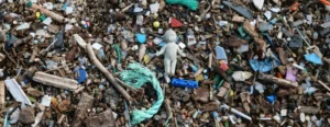 Plastic-pollution