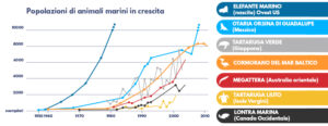 Il grafico sulla popolazione di animali marini in crescita