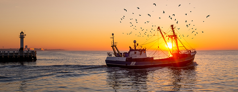 Il nuovo decreto salvamare responsabilizza i pescatori