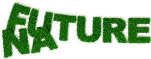 Educare i bambini per un futuro ecosostenibile