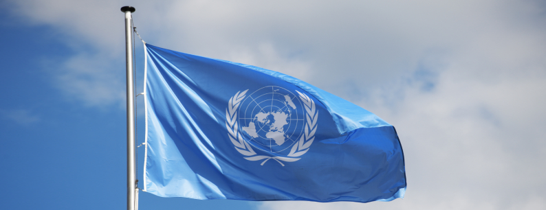 bandiera Nazioni Unite