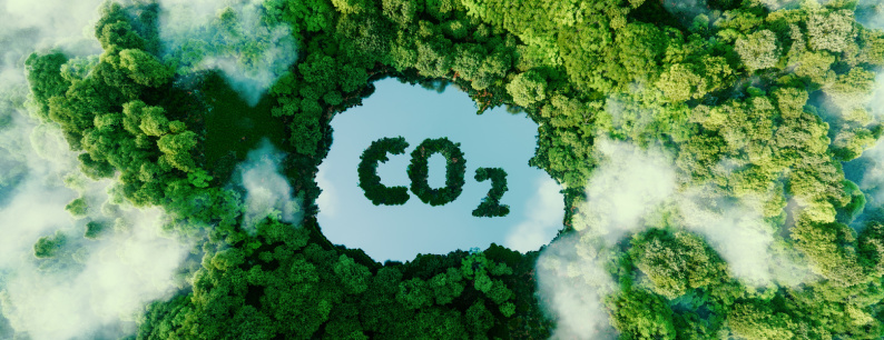 Emissioni CO2