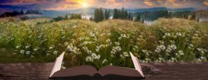 Libri da leggere per l'ambiente