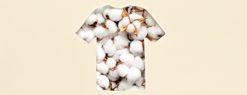 Abbigliamento in cotone biologico