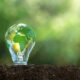 In cosa consiste la rivoluzione verde