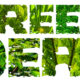 Green deal